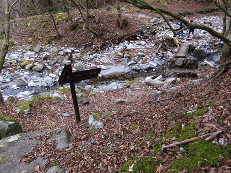 20200110hike (389)